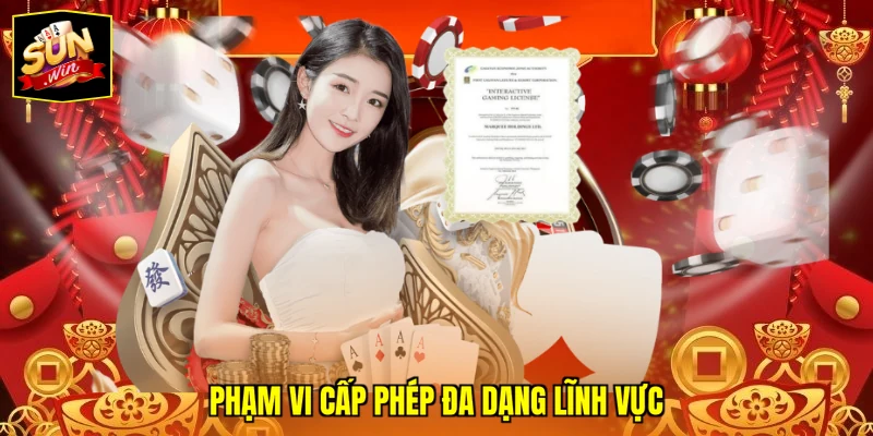 Phạm vi cấp phép đa dạng lĩnh vực