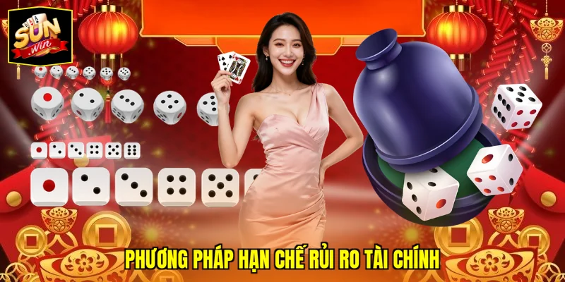 Phương pháp hạn chế rủi ro tài chính